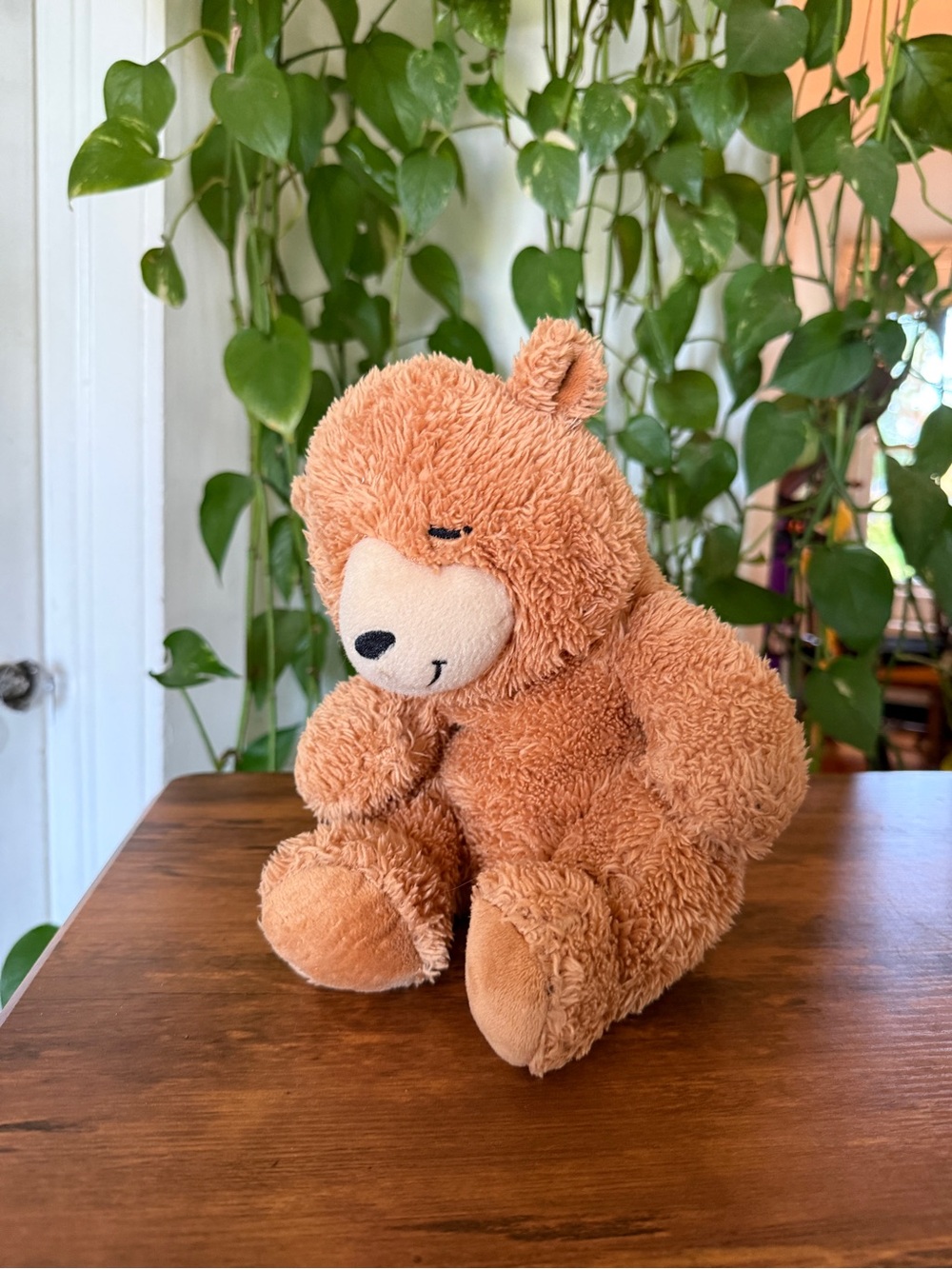 Plush Brown Teddy Bear Stuffed Animal for Kids Kohl’s Cares